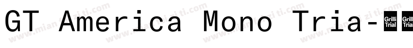 GT America Mono Tria字体转换